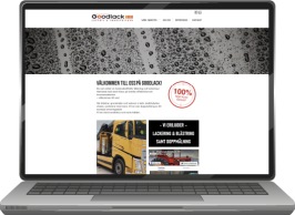 hemsidor, katalog, affischer, flyers, produktblad, utbildningsmaterial, webb shop, webb design, reklambyrå halmstad,