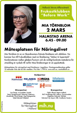 Halmstad, annons, reklambyrå, Hemsida, grafisk form, folder, broschyrer,  företagsprofilering kaffemugg, presenter, kojakontorshotell