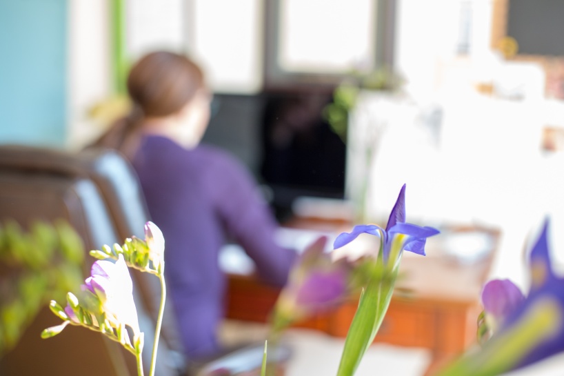 ST: I förgrunden blommor, bakom en person vid en dator. Bildskärpan ligger på blommorna, personen bakom är suddig. ST: I förgrunden blommor, bakom en person vid en dator. Bildskärpan ligger på blommorna, personen bakom är suddig.