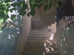 Stair up to the house from the garden