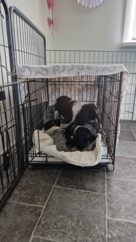 burträning burträning
