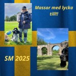 SM