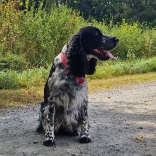 För varmt sa Kira och checkade ut