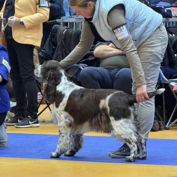 Coco i Växjö. Exc m CK