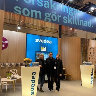 Svedea på My Dog 2026