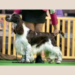 lordsett-under-your-spell[147]