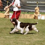 lordsett-under-your-spell[177]