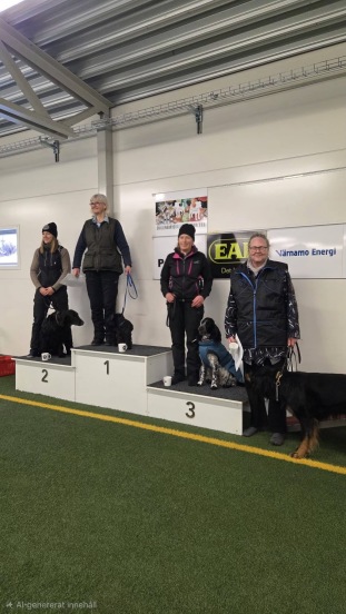 Pallplats på debuten, Värnamo Brukshundsklubb