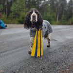 Coco Cert rally en regnig dag hösten 2025