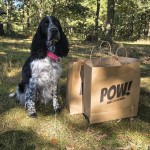 Kira.Klassvinst Halmstad Brukshundsklubb