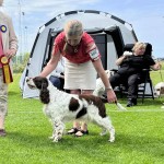 Ever BIR Gränna 2025