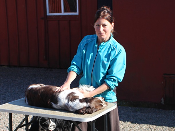 Friskvård av hundar i Varberg Friskvård av hundar i Varberg