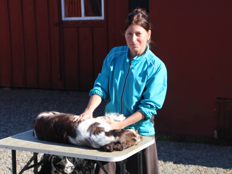 Friskvård av hundar i Varberg