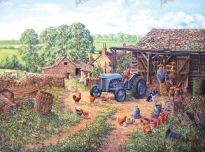 VYKORT FERGUSON - YOUNG FARMER