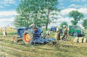 VYKORT FORDSON - LIFTING THE CROP