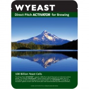 American Ale ll (Wyeast 1272)