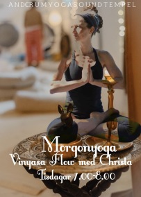 Morgonyoga Vinyasa Flow - Morgonyoga Vinyasa Flow med Christa