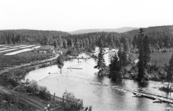 Bildarkiv Jamtli: Fiskodlingen i Kälarne år 1920