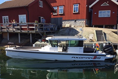 Lotsbåten (das Pilotboot) Lotsbåten (das Pilotboot)