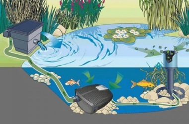 Oase Aquamac eco Premium, Oase Aqua skim , dammprodukter önnestad
