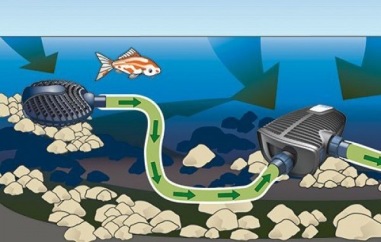 Oase Aquamax eco premium , filterpump till dammen