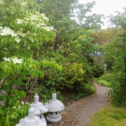 dammar önnestad , visningsträdgård