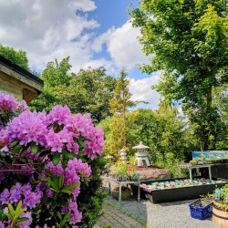 dammcenter önnestad visningsträdgård
