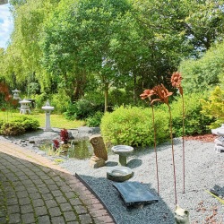 visningsträdgård önnestad , dammar , dammprodukter