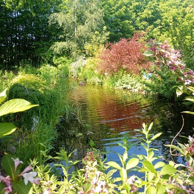 visningsträdgård på dammcenter skåne