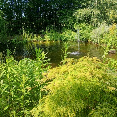visningsträdgården på dammcenter önnestad skåne