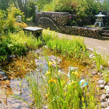 visningsträdgård skåne , dammcenter