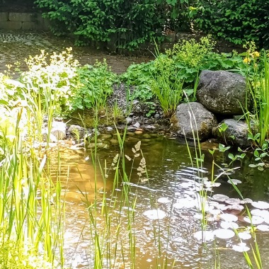 dammar i miljö ,dammcenter önnestad