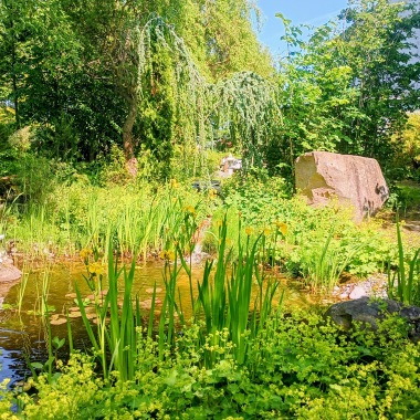 dammcenter önnestad dammar och fontäner i miljö
