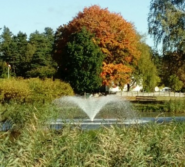 Fontän flytande, flytandefontän , stora fontäner, oase midi fontän