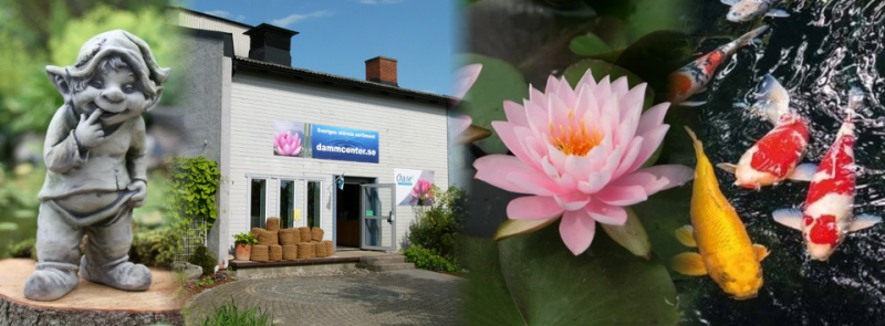 Dammcenter Önnestad, största dammbutik