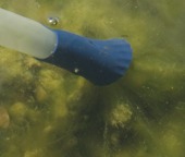 Munstycke till dammsugare för alger