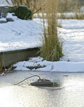 Höst och vinter i dammen - Isfritt