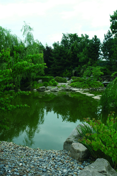 japansk trädgård zen trädgården trädgårdsdamm japansk trädgård zen trädgården trädgårdsdamm