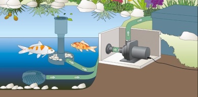 Filterpump Oase Aquamax Dry, för torr montering