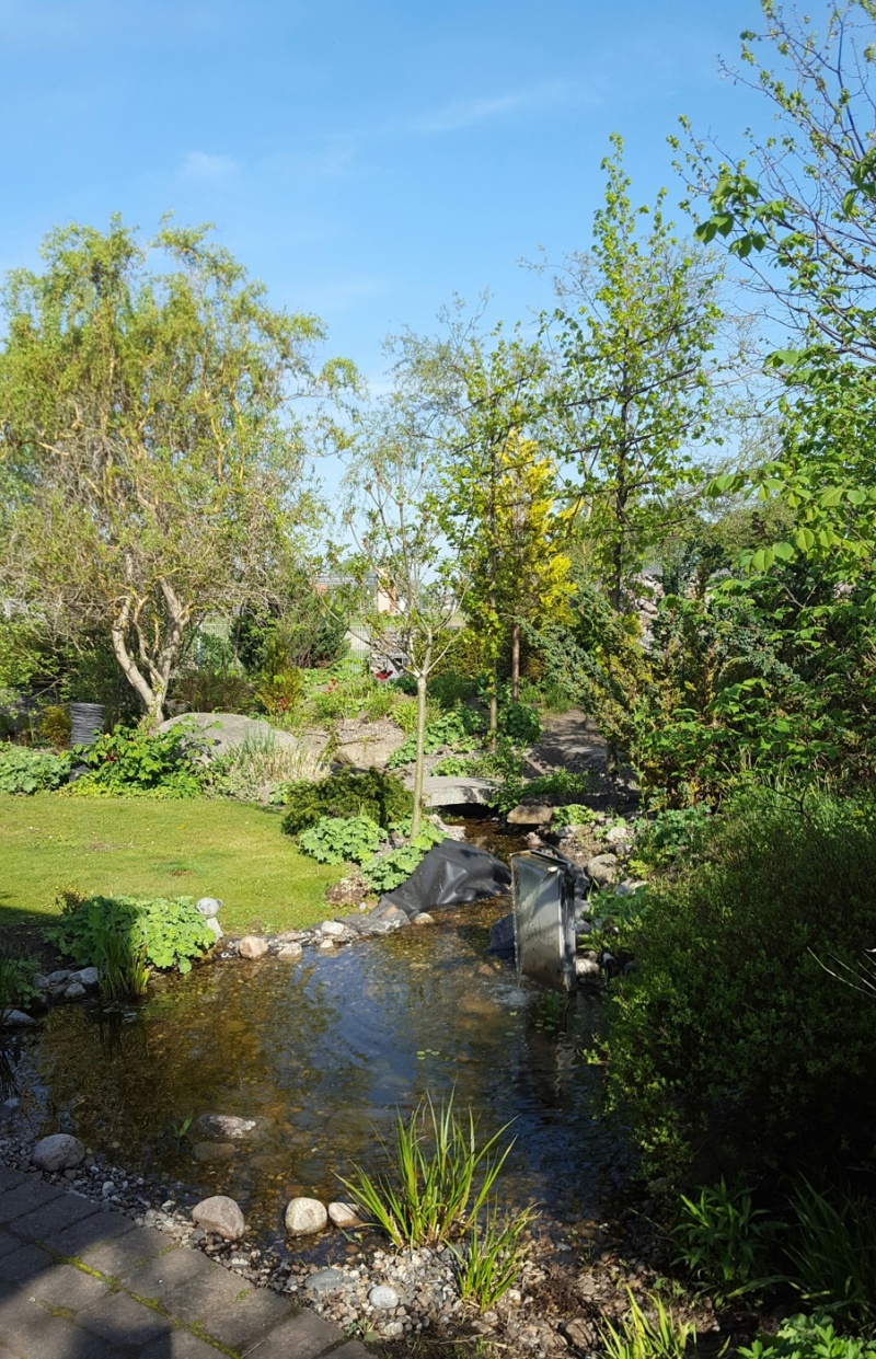 Trädgårdsdamm hos Dammcenter Önnestad
