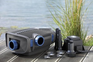 Oase Aquamax Eco Premium 12 V, filterpump till baddammar