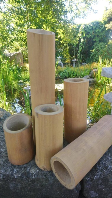 Bambu rör japansk trädgård