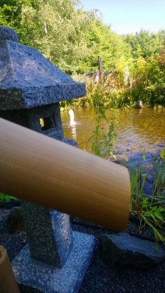 Bamburör japansk trädgård