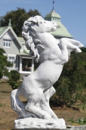 Trädgårdskonst stegrande häst , trädgårsdshäst betong vit