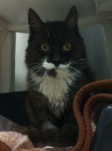 Walter
