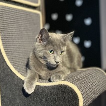 Meeko2