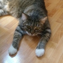 Savannah