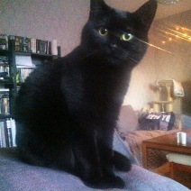 Milly