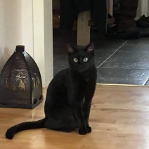 Java