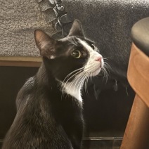Monty